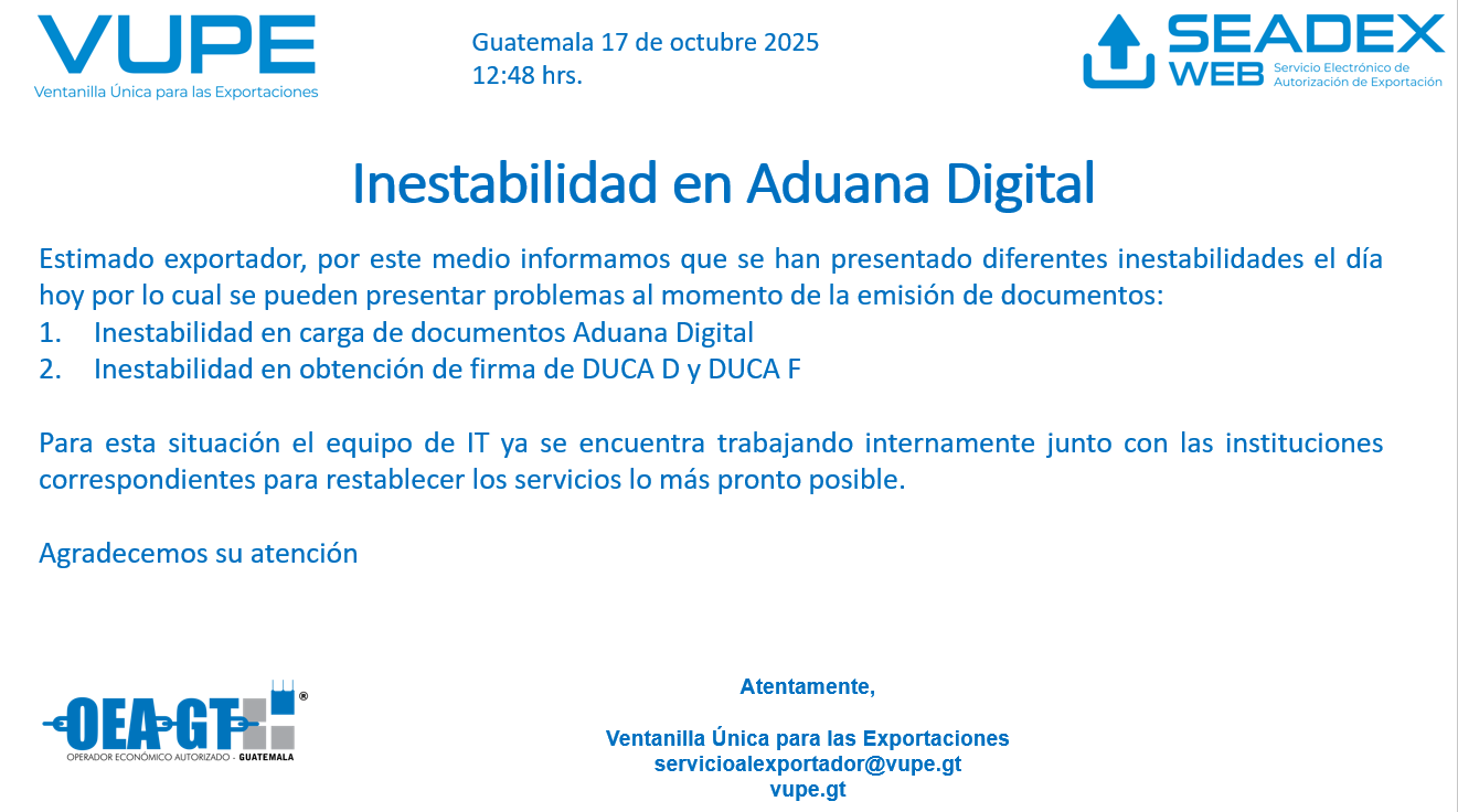 Inestabilidad aduana digital