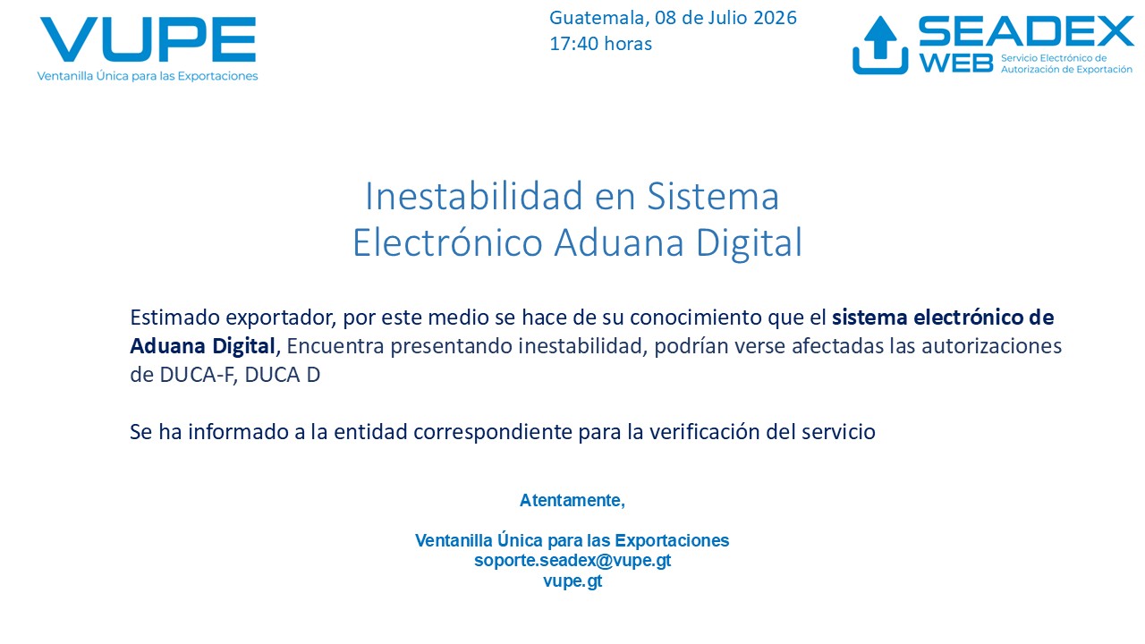 ADUANA DIGITAL INESTABLE